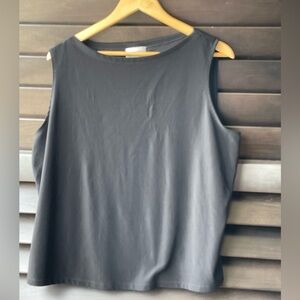 In Studio Black Stretchy Sleeveless Layering Top Size 2X